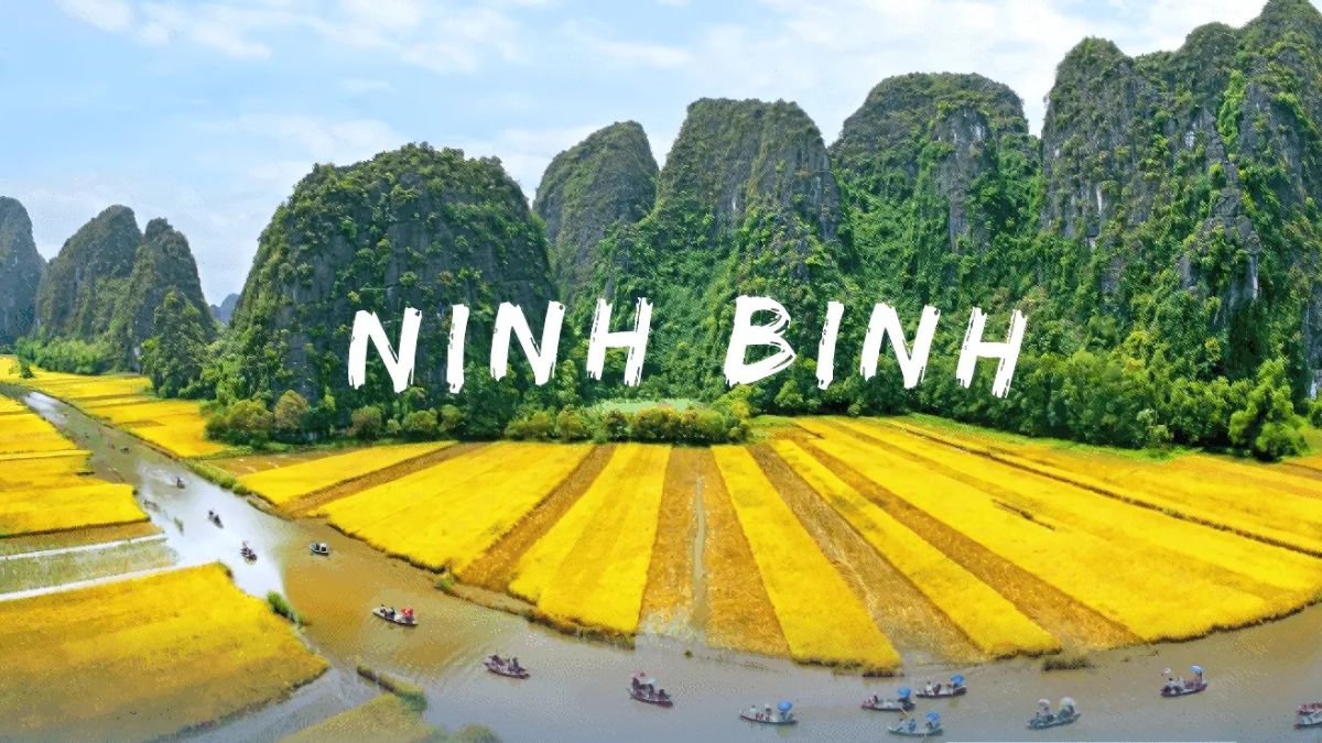 Bán xe nâng tại Ninh Bình – Giá cả cạnh tranh nhiều ưu đãi